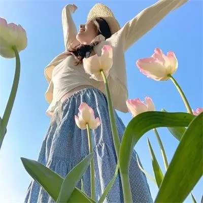 【职场新闻】《匹诺曹》完整版全集：不能说谎的记者，揭开舆论背后的黑暗真相